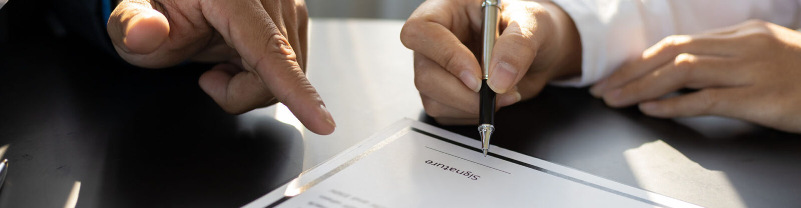 LINEV Systems US - Terms and conditions